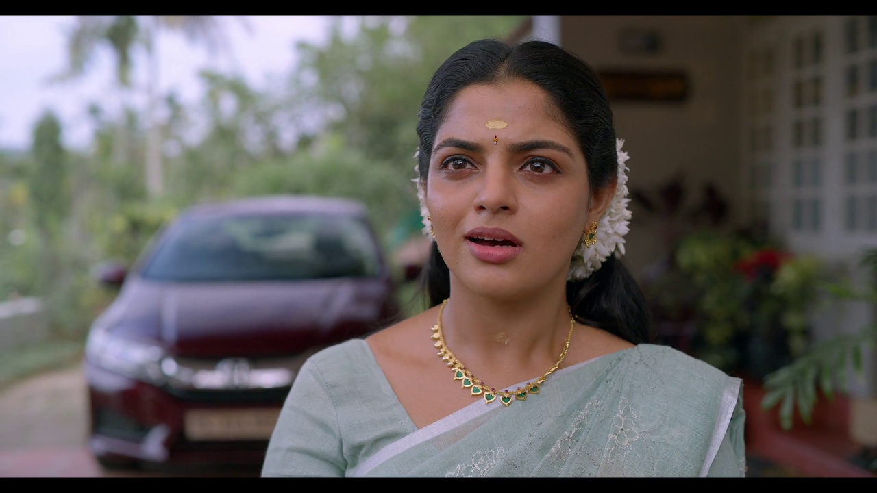 vlcsnap-2024-01-05-22h46m06s315