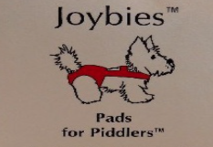 https://i.postimg.cc/2j18JQ96/Joybies-Piddle-pant.png