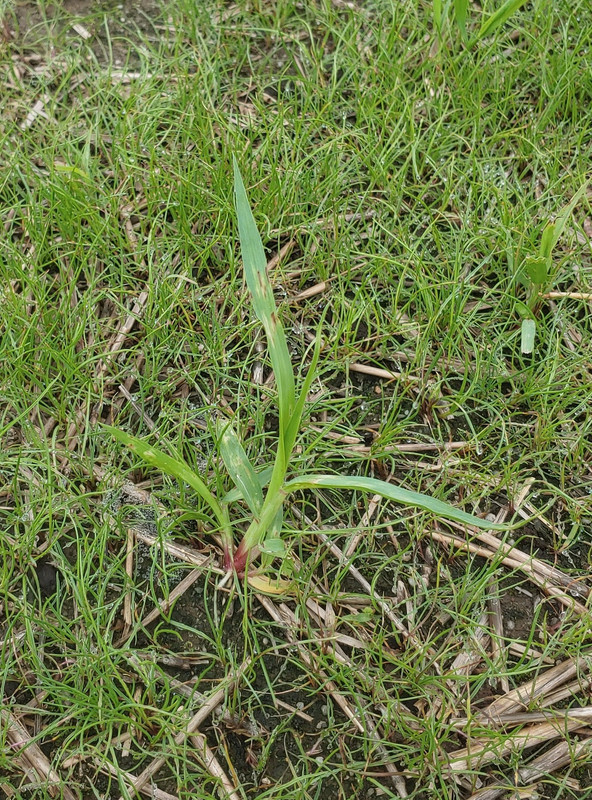 20210611_103057(1)(1)