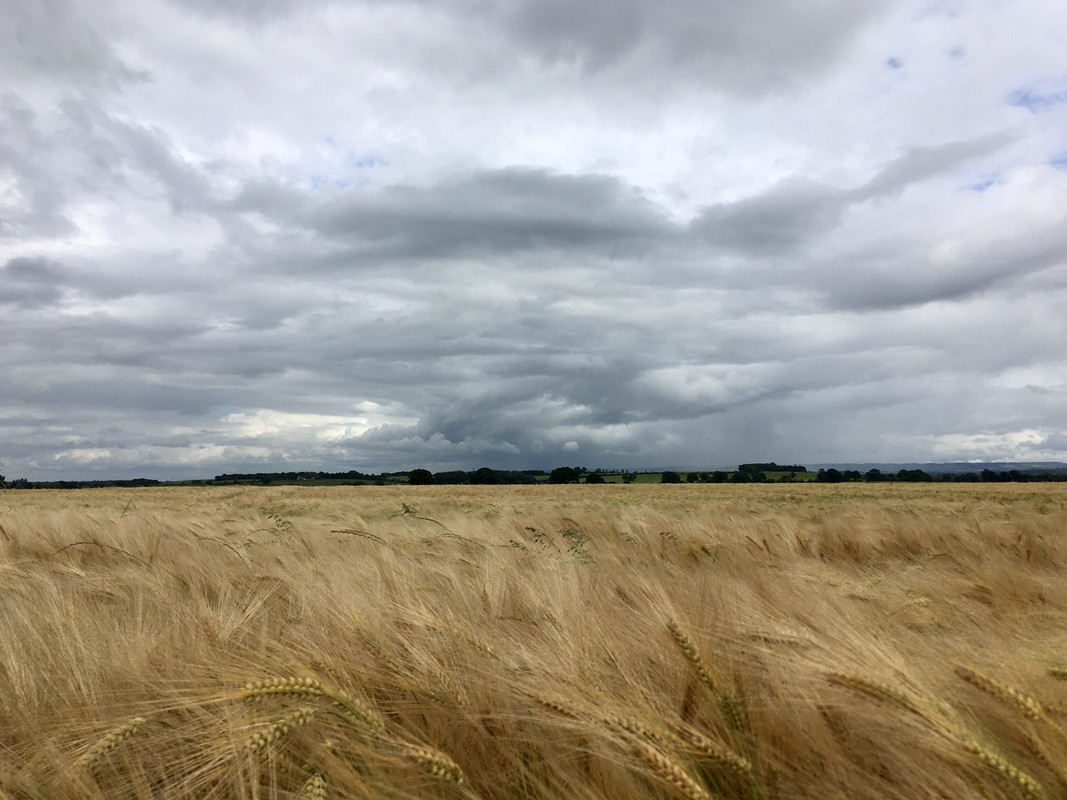 F815FE54-CD1C-4EB7-9D6C-3FB0AEA22174