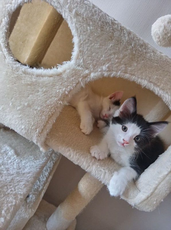 0AA69B11-6048-47BA-B125-E900FB275F71