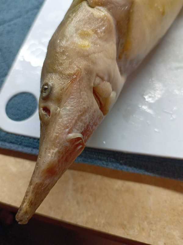 IMG_20231203_192636_435