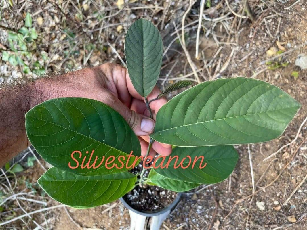 41DDBFB9-D998-430A-BD6F-E6D17B851A66