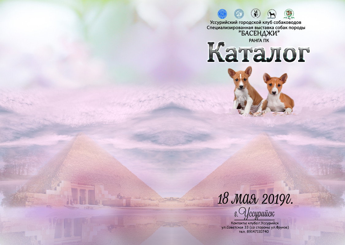 катал  басенджи