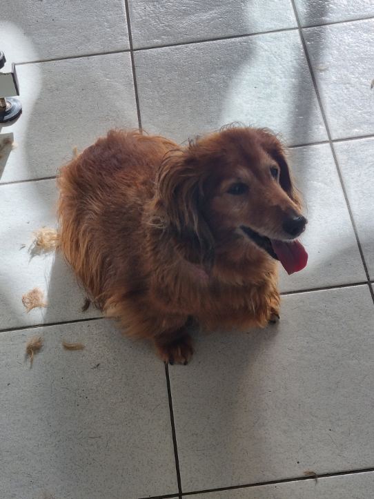 [Image: image000009.jpg]