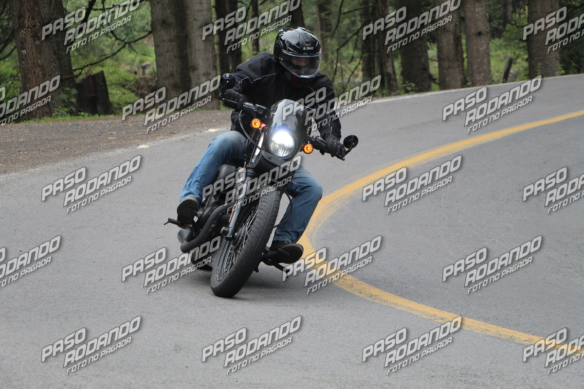 IMG 8378 wm 2094837 6 watermarked — Postimages