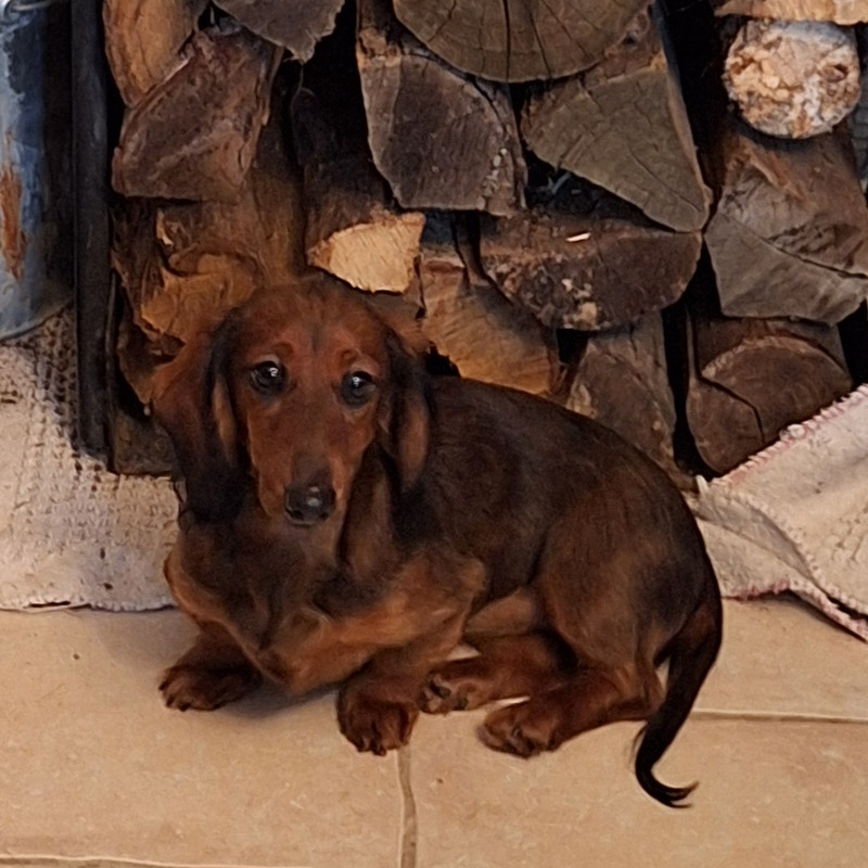 [Image: 20240224-161252.jpg]