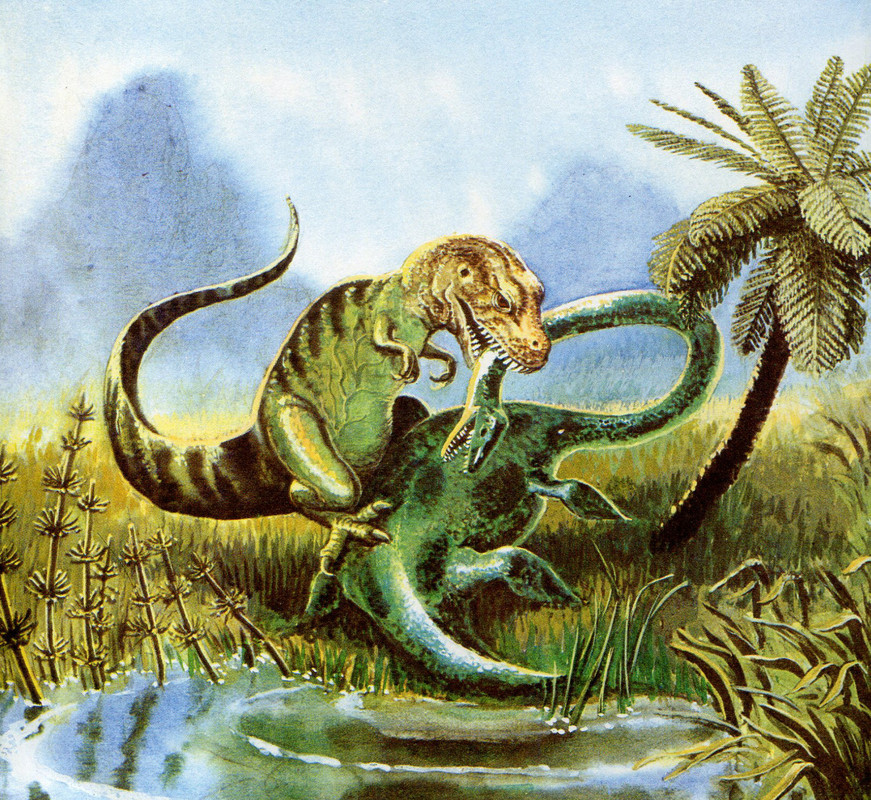 tumblr_224f6d0699bf3eb3a44e8e2c3a264fcb_c111e226_2048