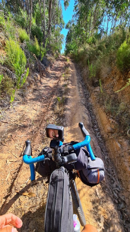 20200823_103423 (Small)