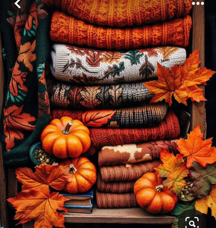 Screenshot_20231112_155144_Pinterest