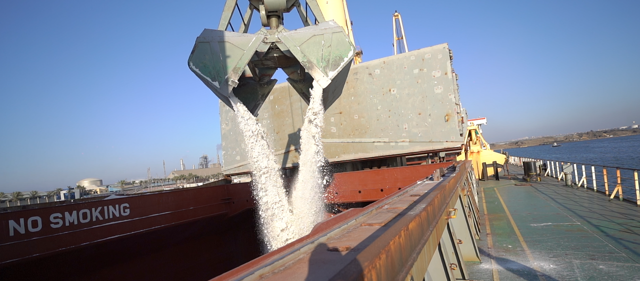 Export Operations
