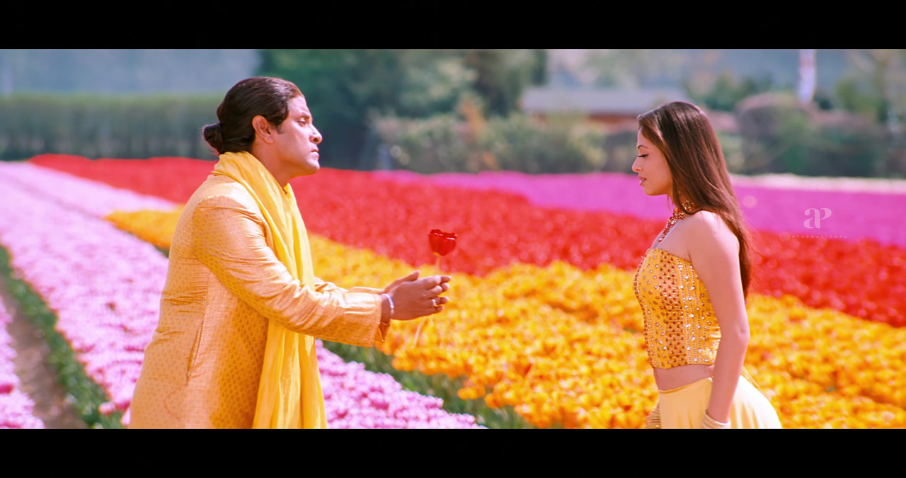 VideoCapture_20241122-200137