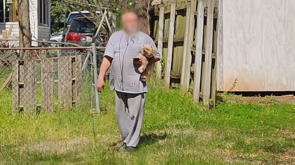 [Image: 3n2kdc4xi9hm.png]