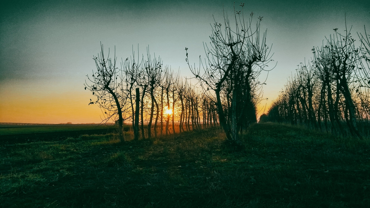 слика_2022-12-23_231438354