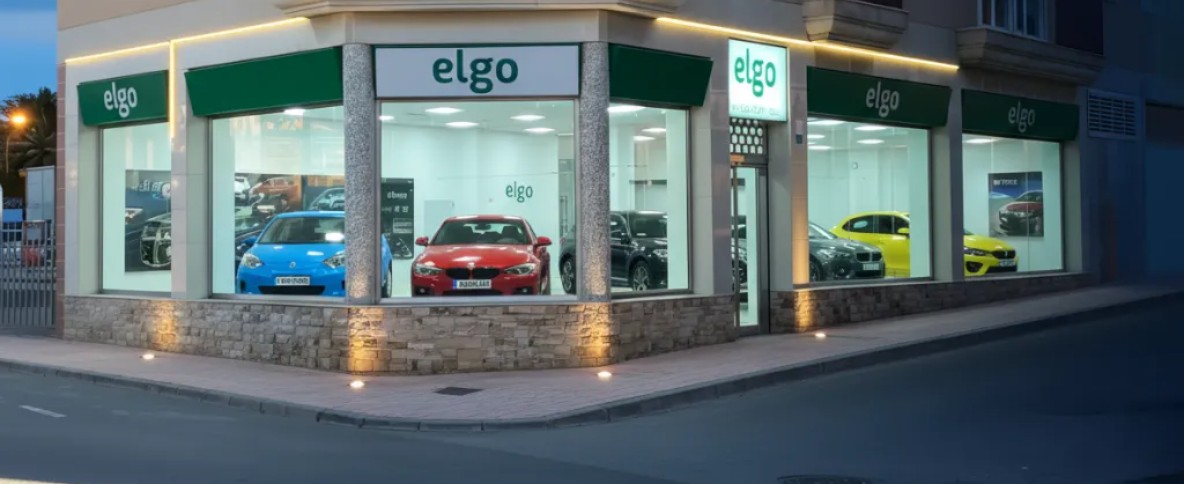 Vehículos eficientes con etiqueta DGT - elgo Murcia