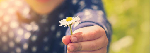 Her�is de Branco e N�o S�...! 🏥🚑