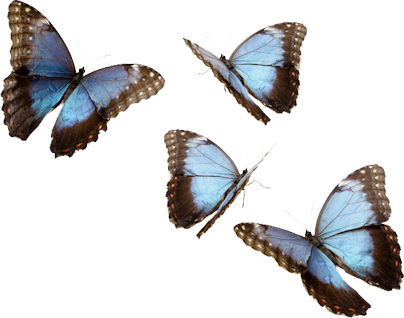 ISmellAutumn-LL-Element22