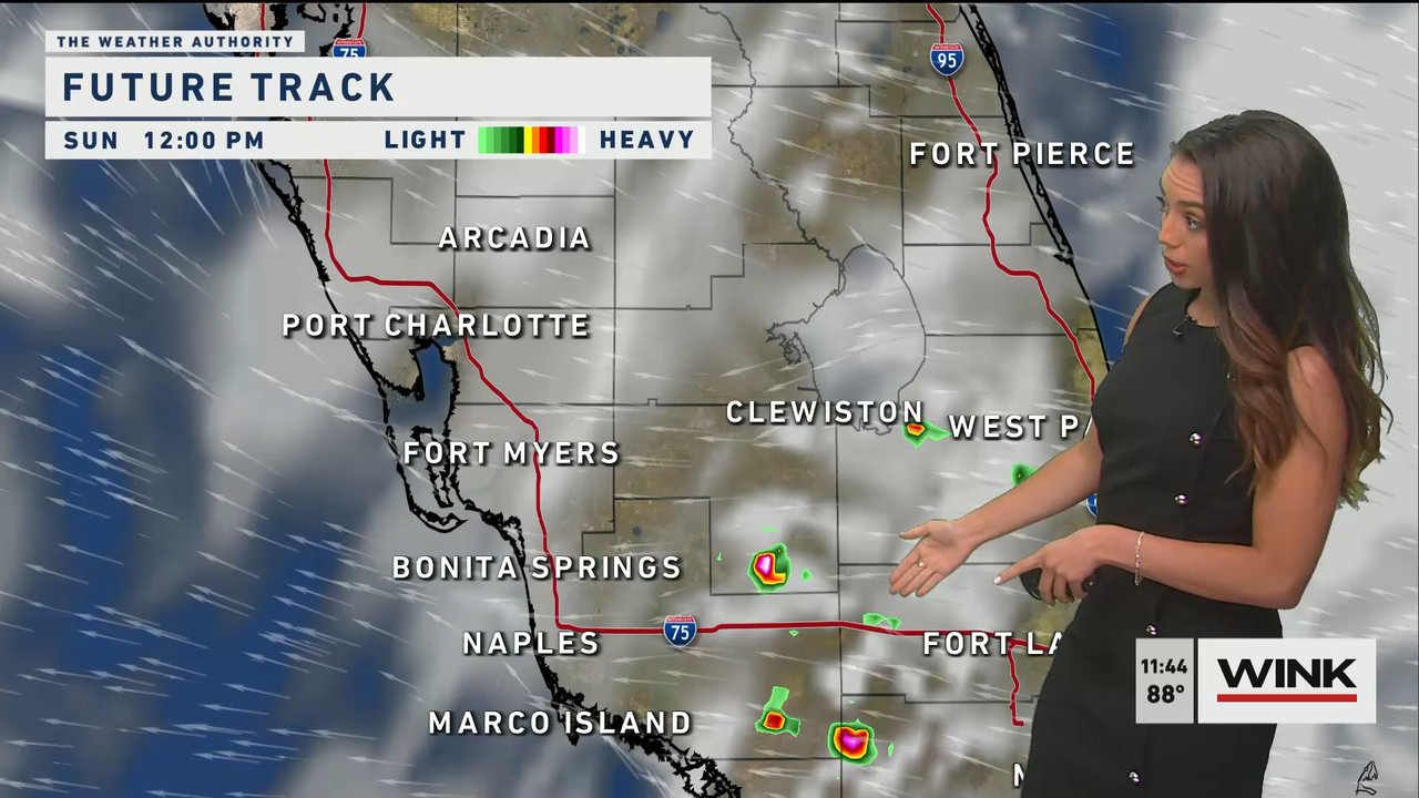 WINK News at 11 30 a.m. Sunday 2022_07_24_16_30_00.ts_snapshot_17.39.896