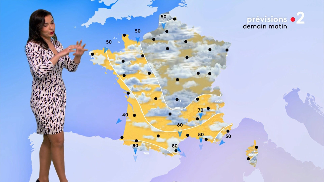 2021-03-17_12_50_Fr2_Meteo.mp4_snapshot_10.25.393