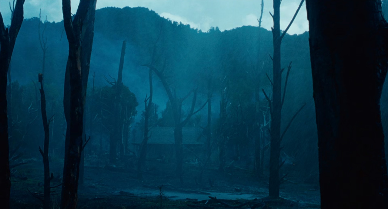 [HR] The Piano (1993) [772362C2]_02