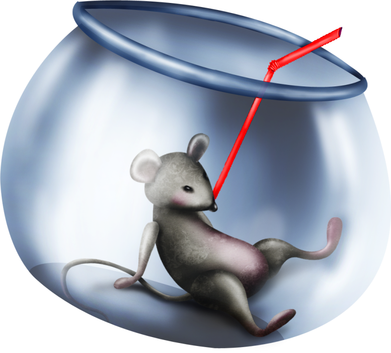 Christmasswishoffairydnfishbowl