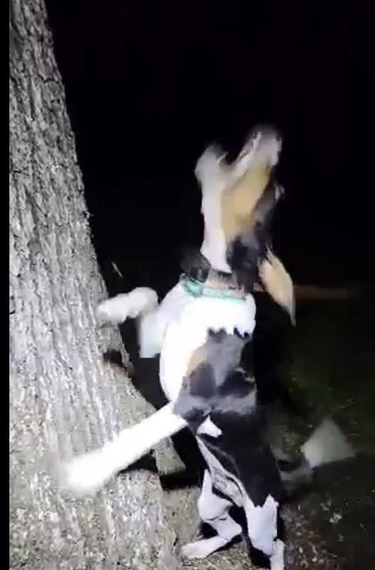 5B1E83FA-9E48-4BEB-A89E-EDF4836F00B7