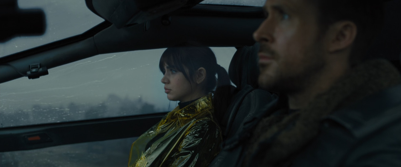 Blade Runner 2049 2017 (1080p x265 10bit Tigole).mkv_snapshot_01