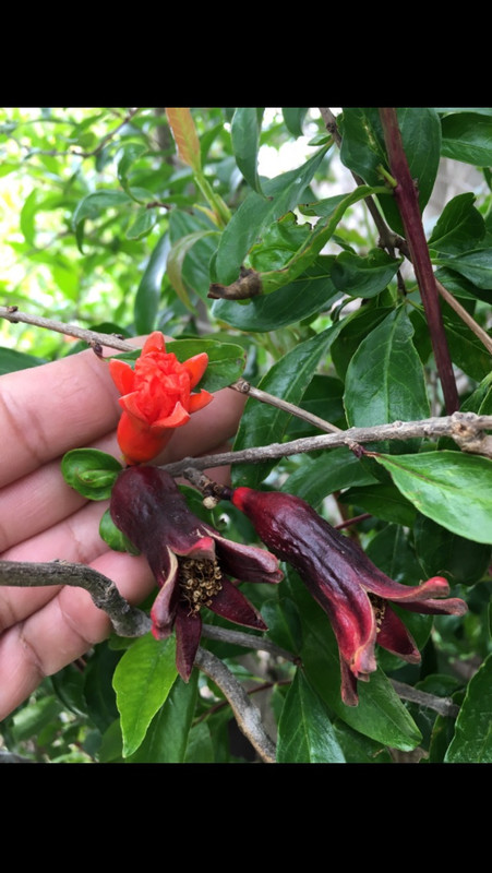 708EA98C-737D-40AD-876C-F4F012A14150