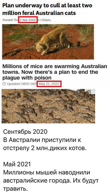 https://i.postimg.cc/2j9XHk2Q/2024-04-12-132055358.png
