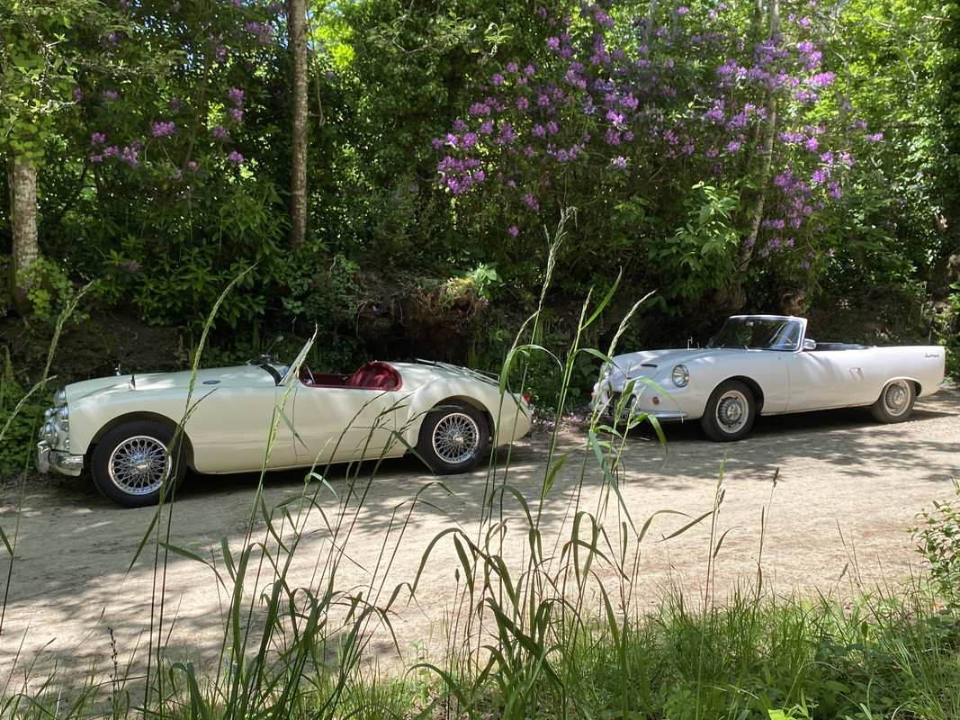 jll9OGyNRj2tGtAEo9d0YA