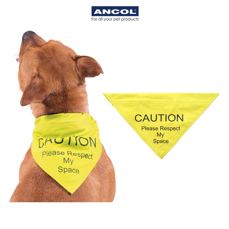 Caution dog outlet bandana