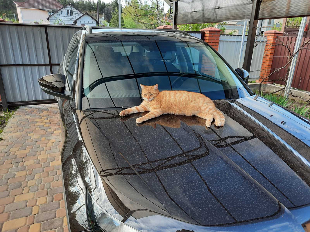 изображение_viber_2021-11-23_11-18-40-069