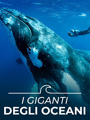 Animal Planet - I giganti degli oceani - Stagione 1 (2020) [Completa] DLMux 1080p E-AC3+AC3 ITA