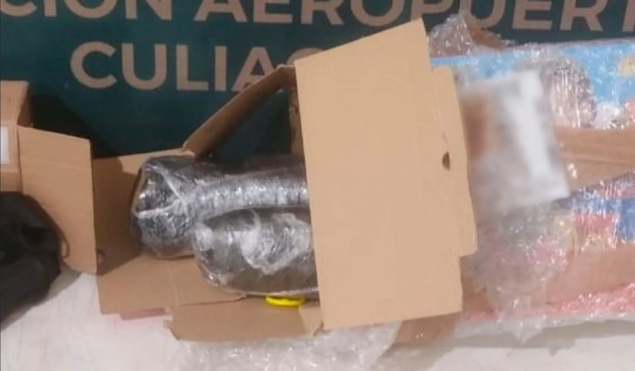 Narcos en Sinaloa envían droga a través de paquetería; GN la asegura