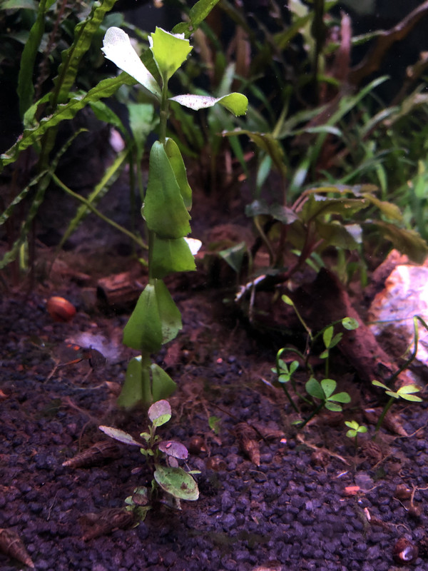 AC6E4FAF-5BA1-4413-9C93-5A59AF2FA99F