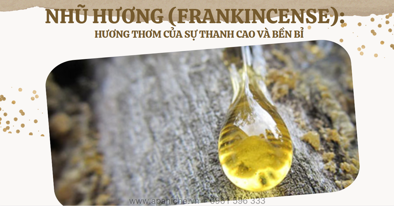 T2-BVCN67-Nhu-Huong-Frankincense-Huong-thom-cua-su-thanh-cao-va-ben-bi.png