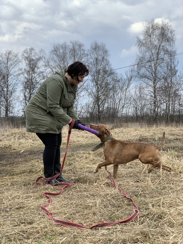 image-09-04-23-05-38-23 (1)