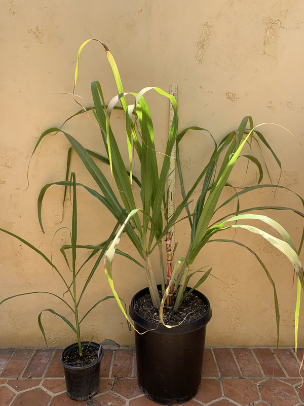 2DD13CBC-EC5D-4BE6-B49A-D61720D68F08