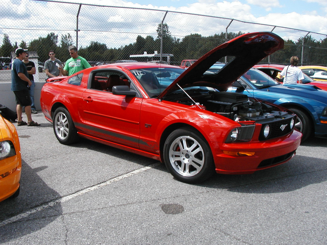 Montréal Mustang: 40 ans et + d’activités! (Photos-Vidéos,etc...) - Page 20 P8120072