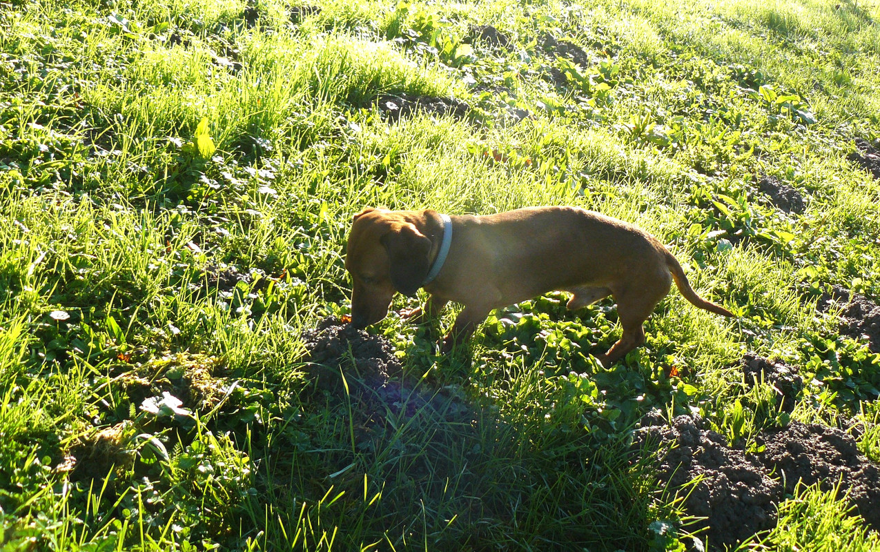 [Image: P1240535.jpg]