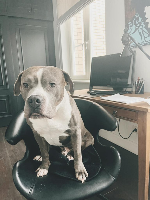 B0EC141B-81F8-489F-912B-8585D79F45F9