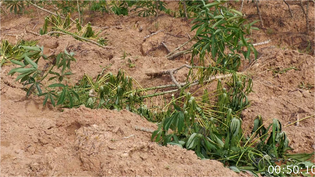 [Image: e61b4lghe8tr.png]