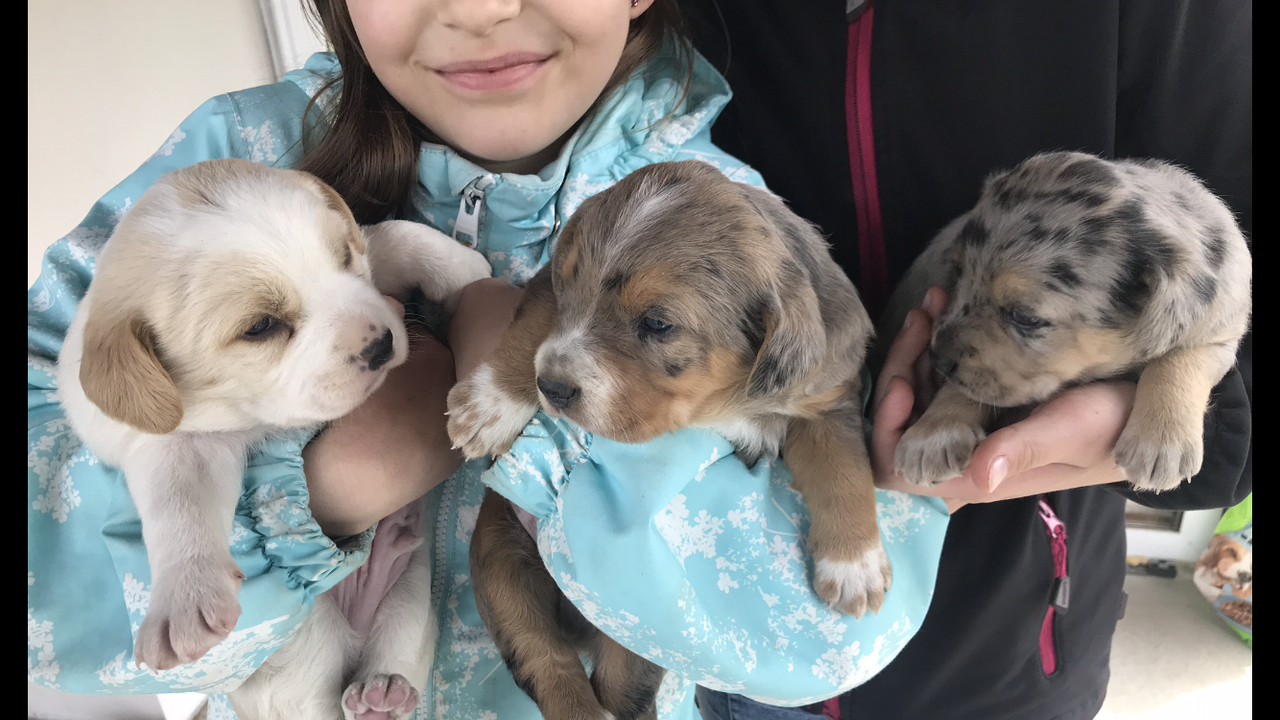 27DE5D7E-C6E3-4B3C-92ED-16DC2CB28355