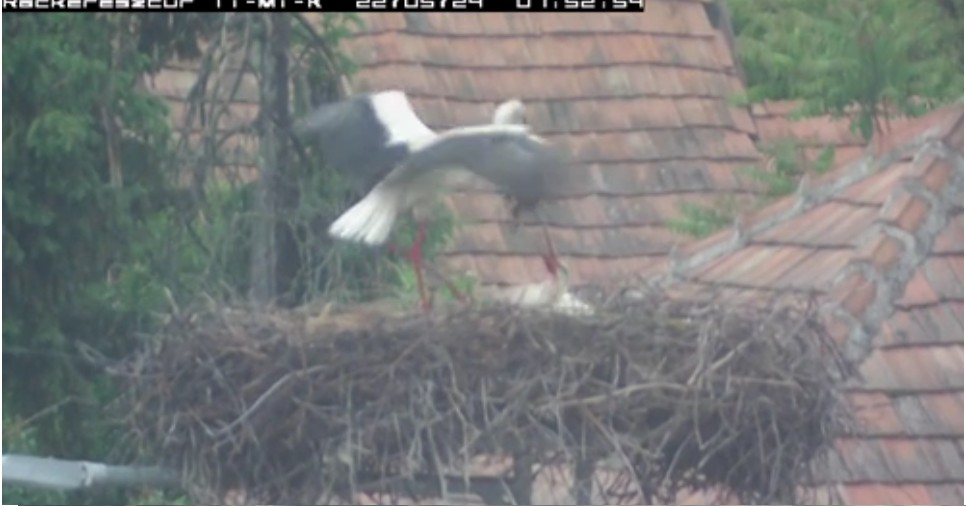 2022-05-24_080802nagy pakkal érkezik