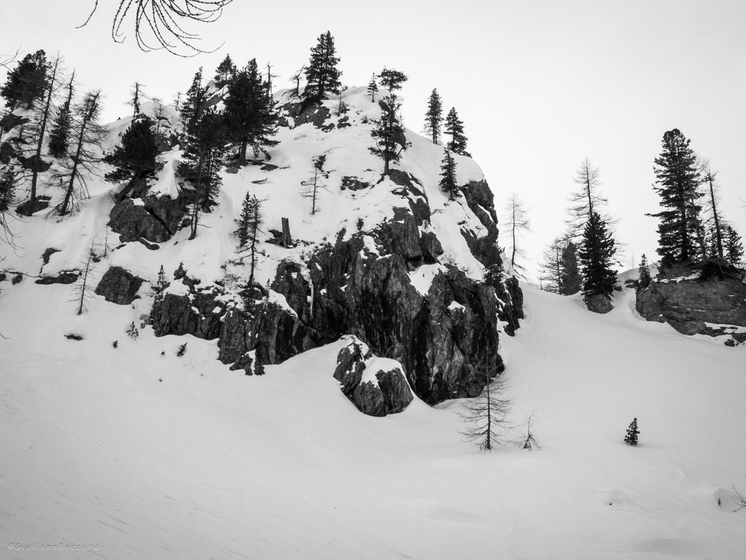 DSCF0776