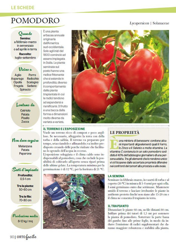 Orto Facile - Il Mio Orto Pratico - Feb-Mar 2025 (11)