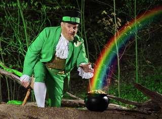 Leprechauns-6