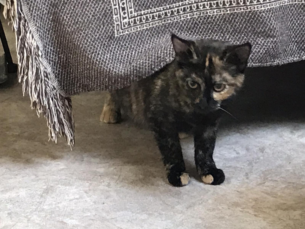 F84CA26C-1D8A-4BE2-A22F-7457B226A4A3