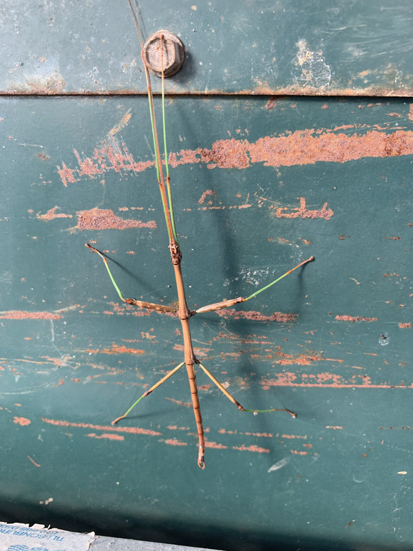 55B1BAD2-9DCF-4A9A-A488-AD711C878DE0