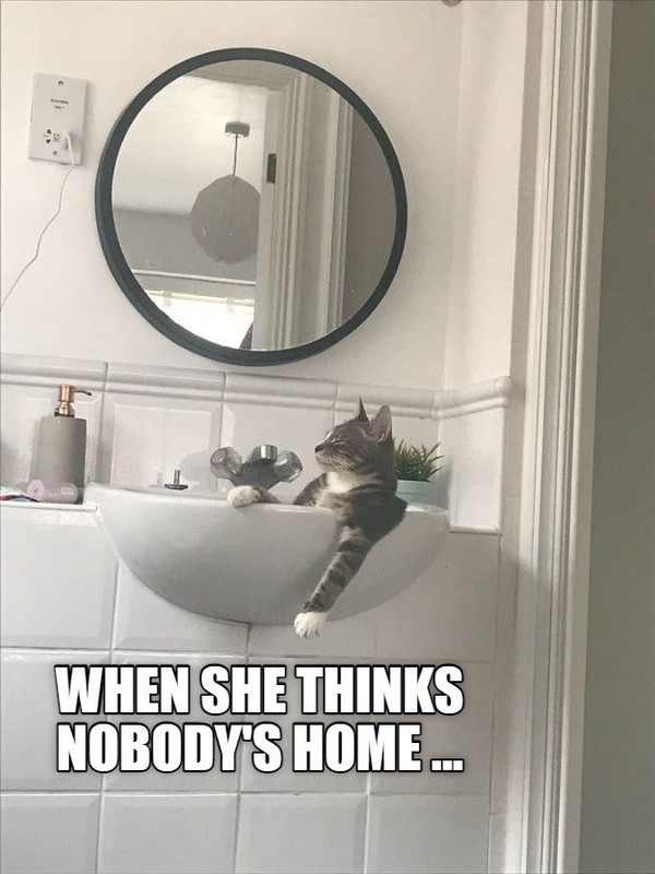 home-alone